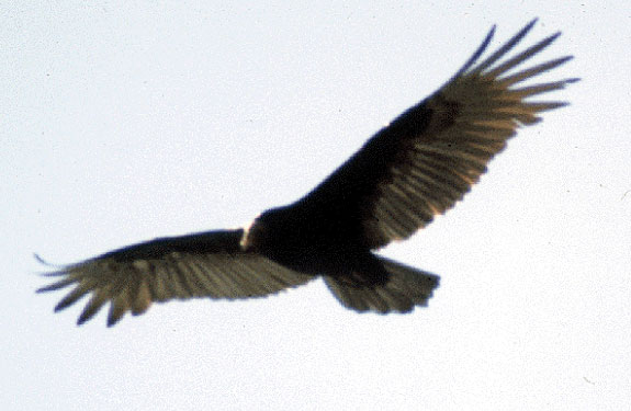 Gallery_Image